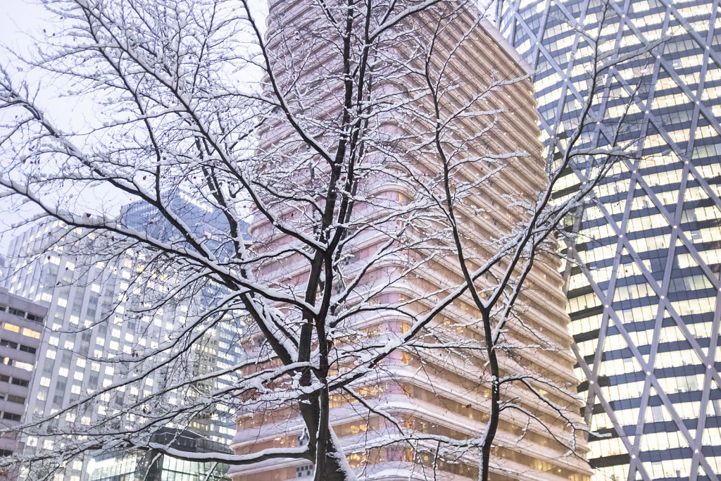 La Defense sous la neige 